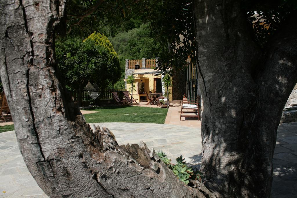 Cà de Pria Acomodação com café da manhã Casarza Ligure Exterior foto